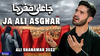 Ja Ali Asghar MP3 Download