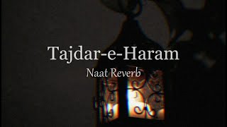 Tajdar E Haram Slowed & Reverb MP3 Download