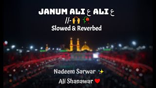 Janum Ali Ali Slowed & Reverb MP3 Download